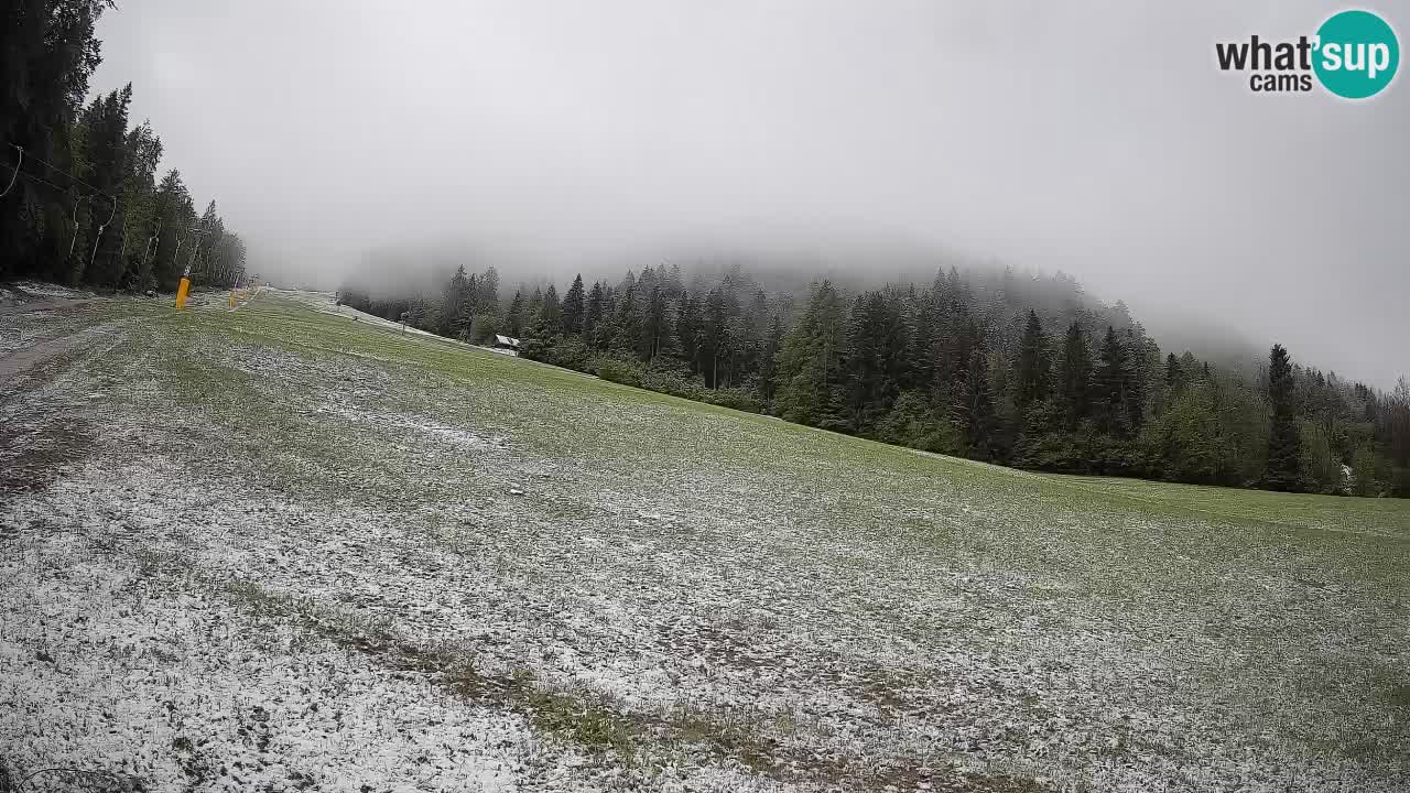 Ski Kranjska Gora | Brsnina