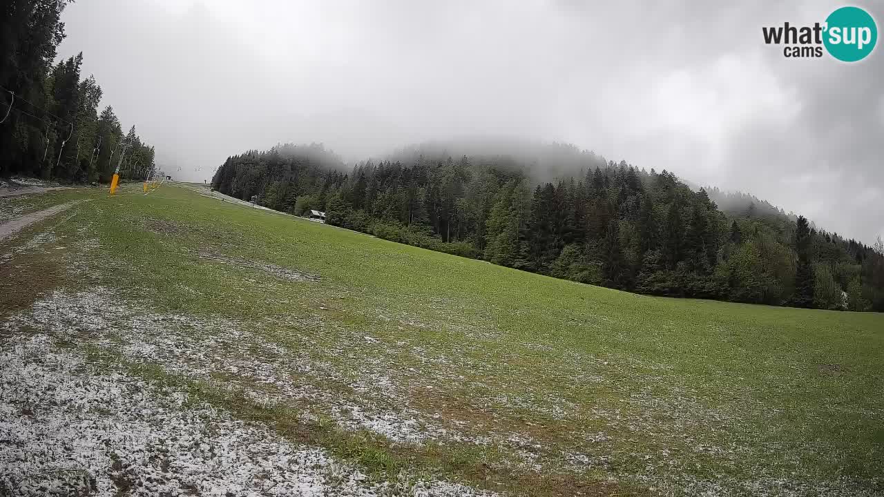 Kranjska Gora Station de ski | Brsnina