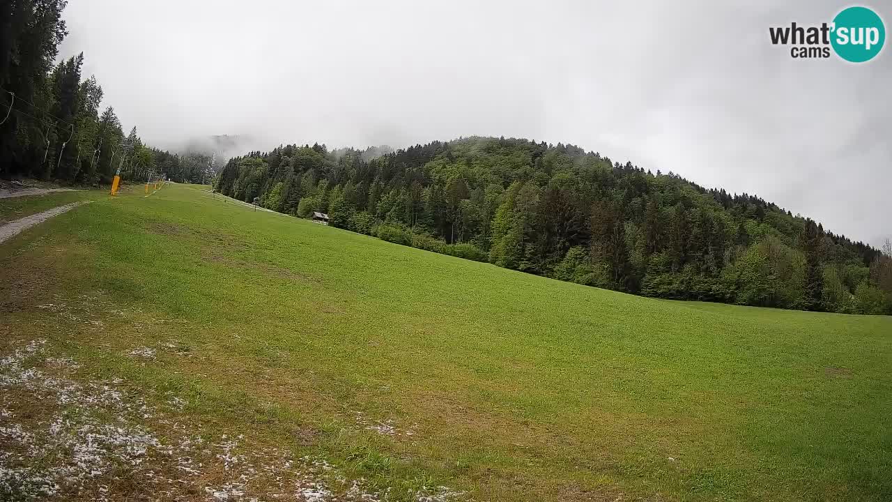 RTC Skigebiet Kranjska Gora | Brsnina