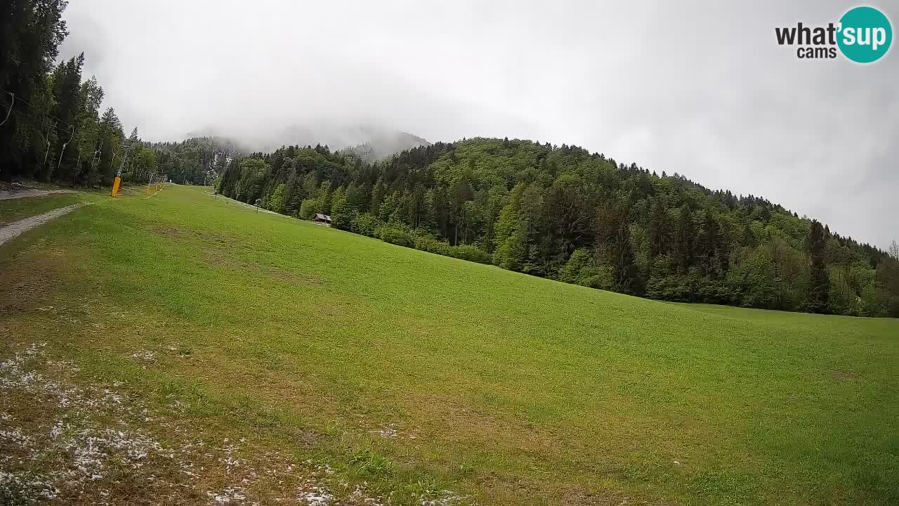 RTC Skigebiet Kranjska Gora | Brsnina