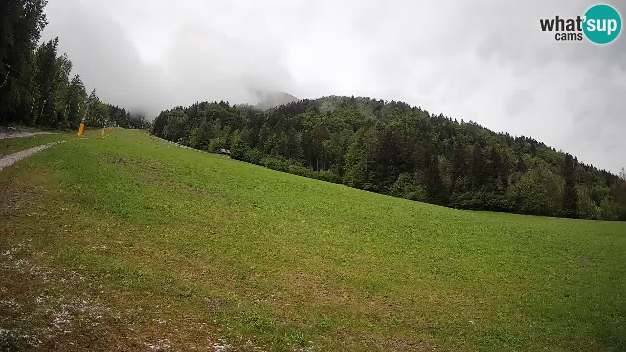 Kranjska Gora Station de ski | Brsnina