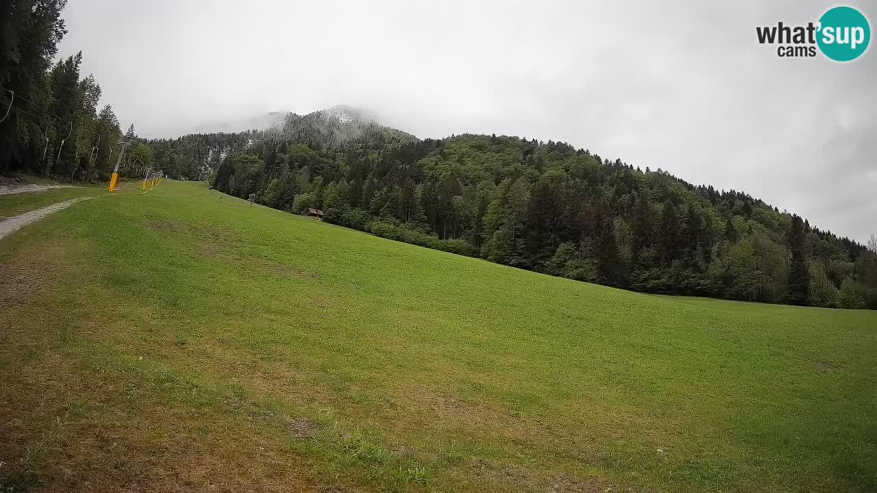 Kranjska Gora Station de ski | Brsnina