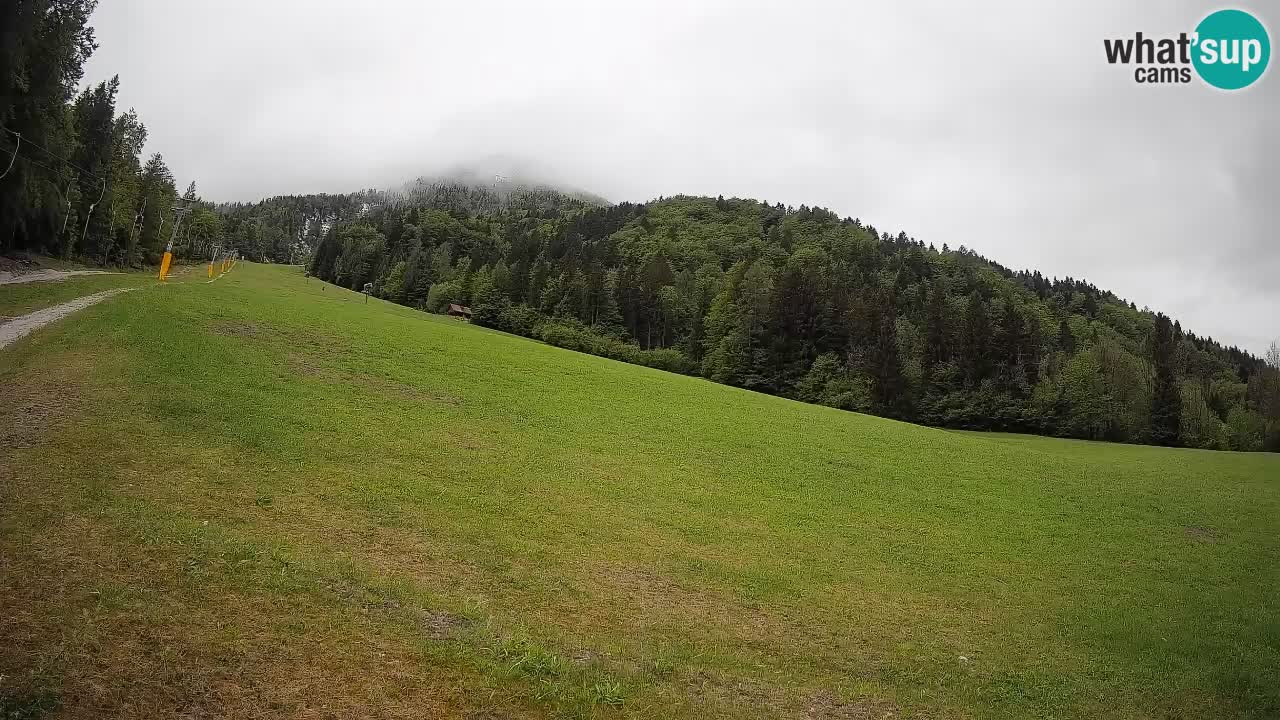 Ski Kranjska Gora | Brsnina