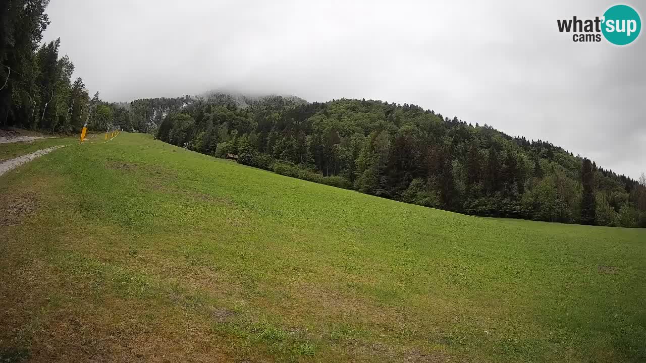 RTC Skigebiet Kranjska Gora | Brsnina