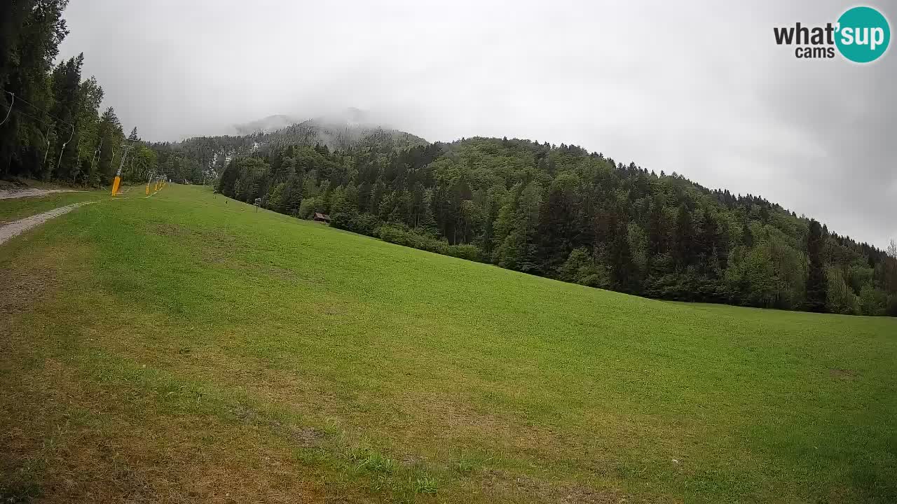 Kranjska Gora Station de ski | Brsnina