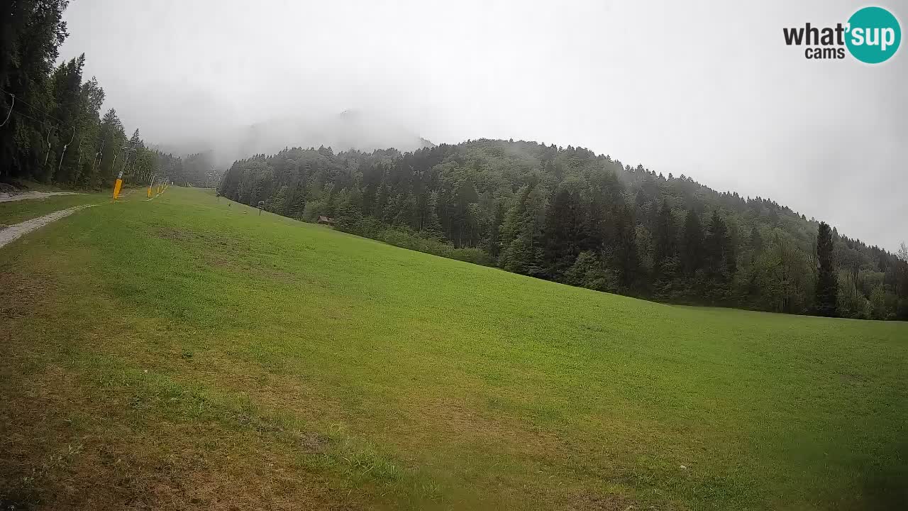Comprensorio sciistico Kranjska Gora | Brsnina