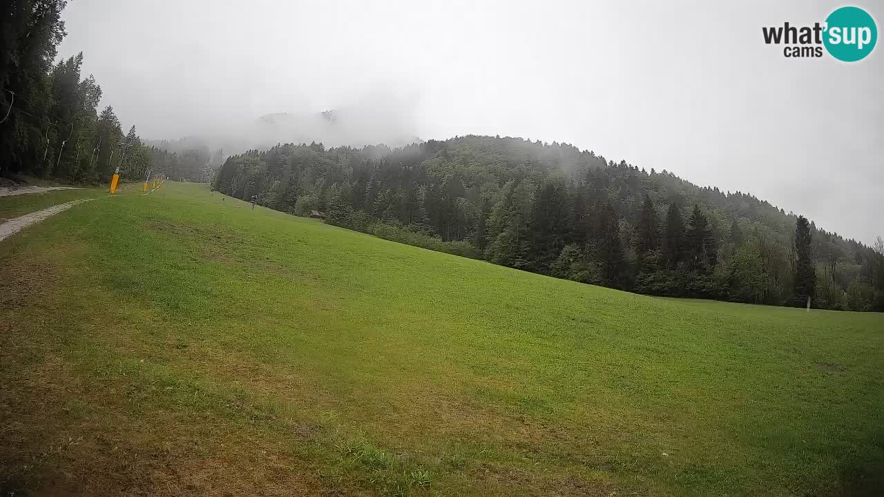 Kranjska Gora Station de ski | Brsnina