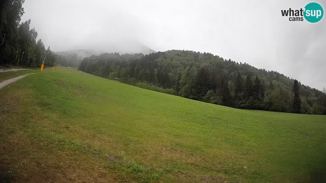 RTC Skigebiet Kranjska Gora | Brsnina