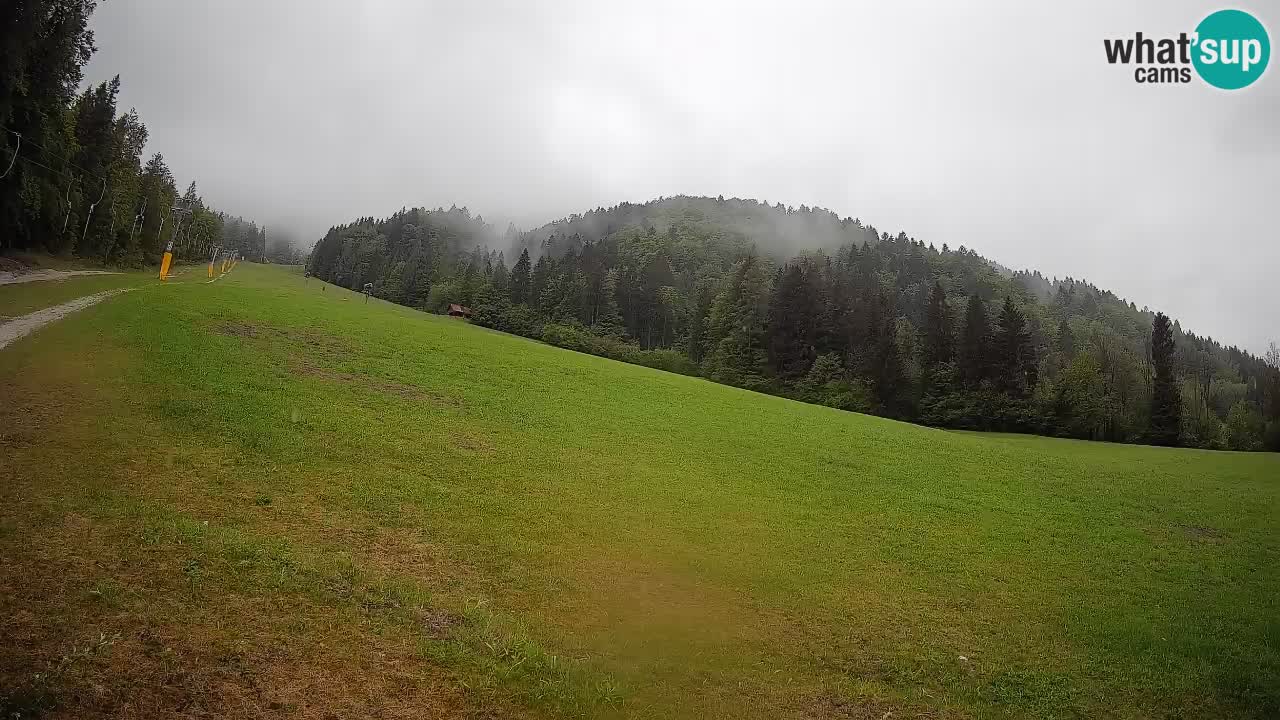 Kranjska Gora Station de ski | Brsnina