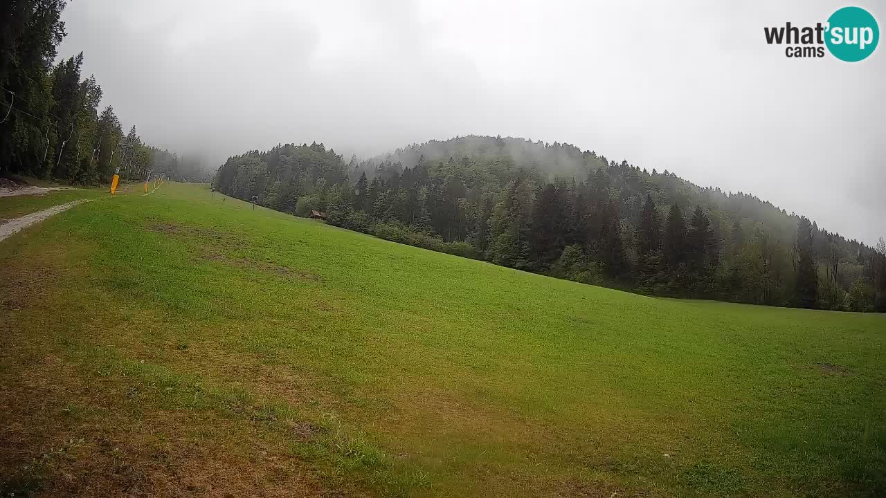 RTC Kranjska Gora | Brsnina