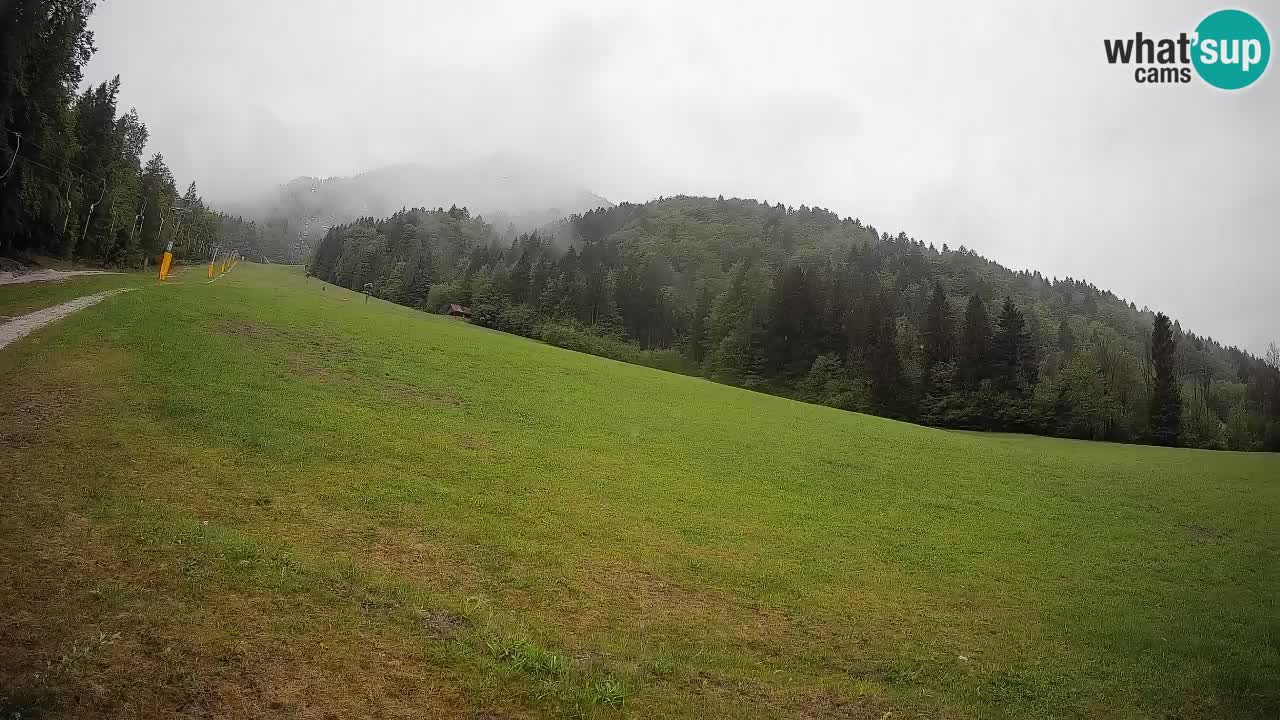 RTC Kranjska Gora | Brsnina