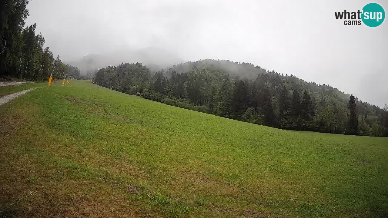 Ski Kranjska Gora | Brsnina
