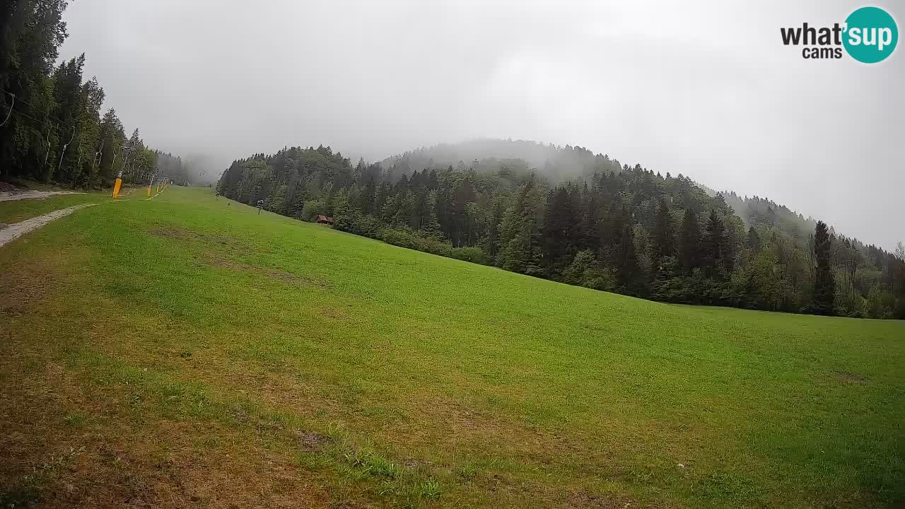 Comprensorio sciistico Kranjska Gora | Brsnina