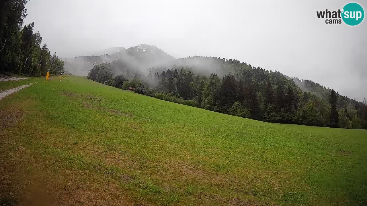 Ski Kranjska Gora | Brsnina