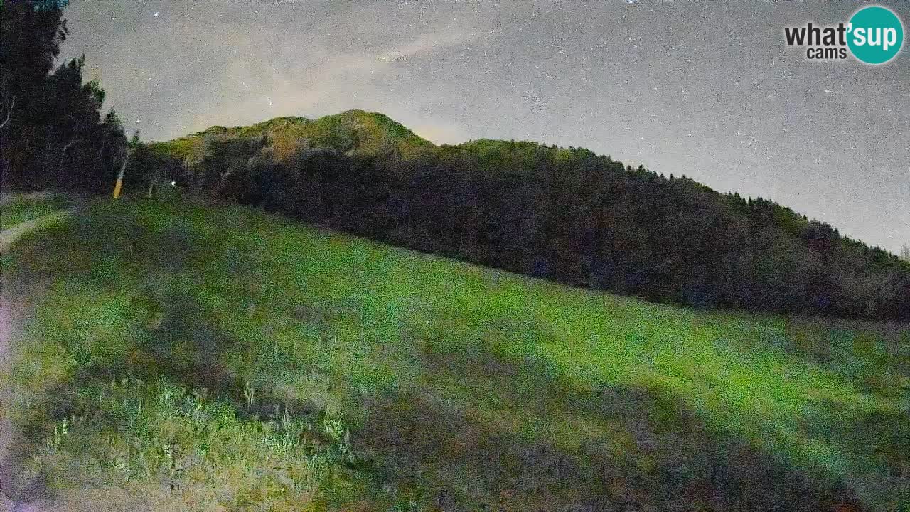 Comprensorio sciistico Kranjska Gora | Brsnina