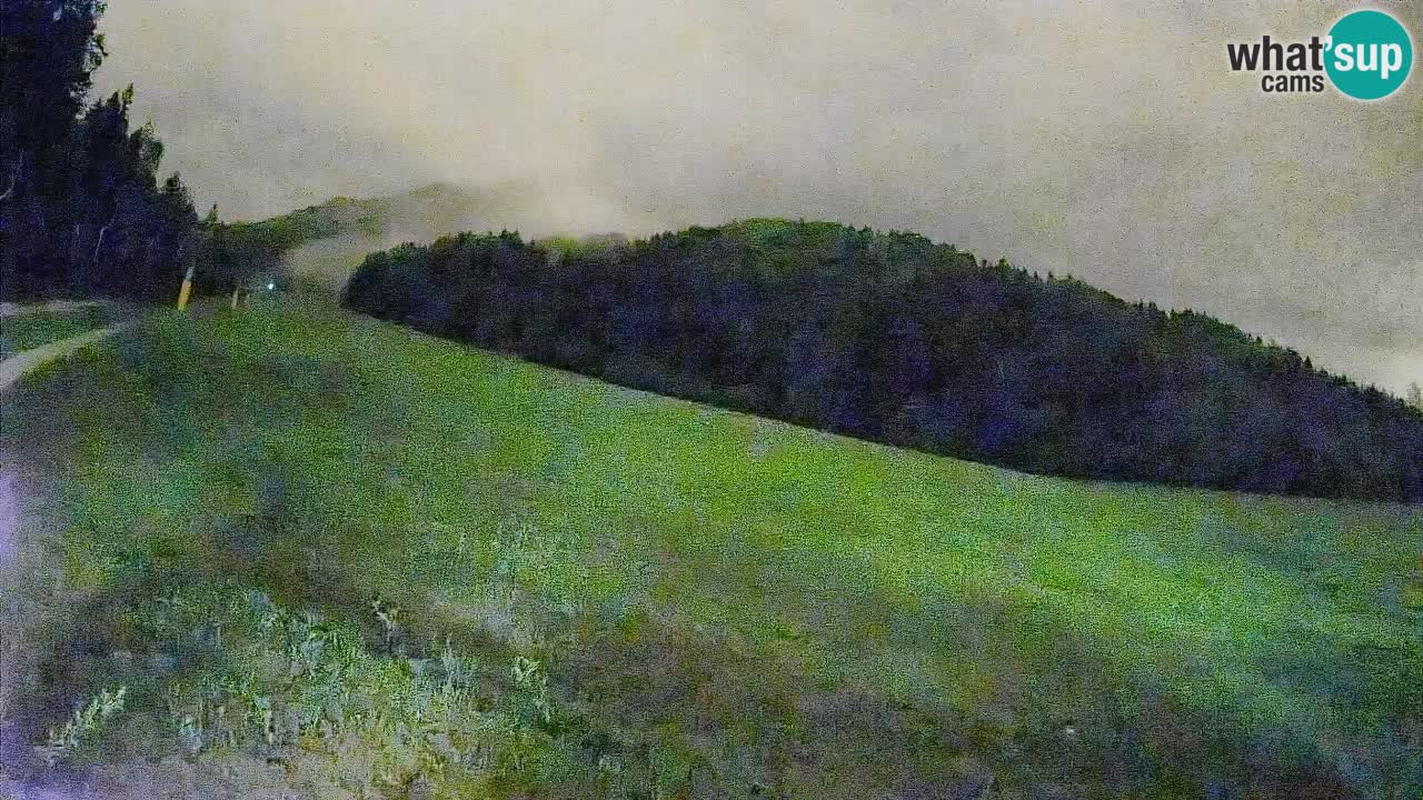 Esquí Kranjska Gora | Brsnina