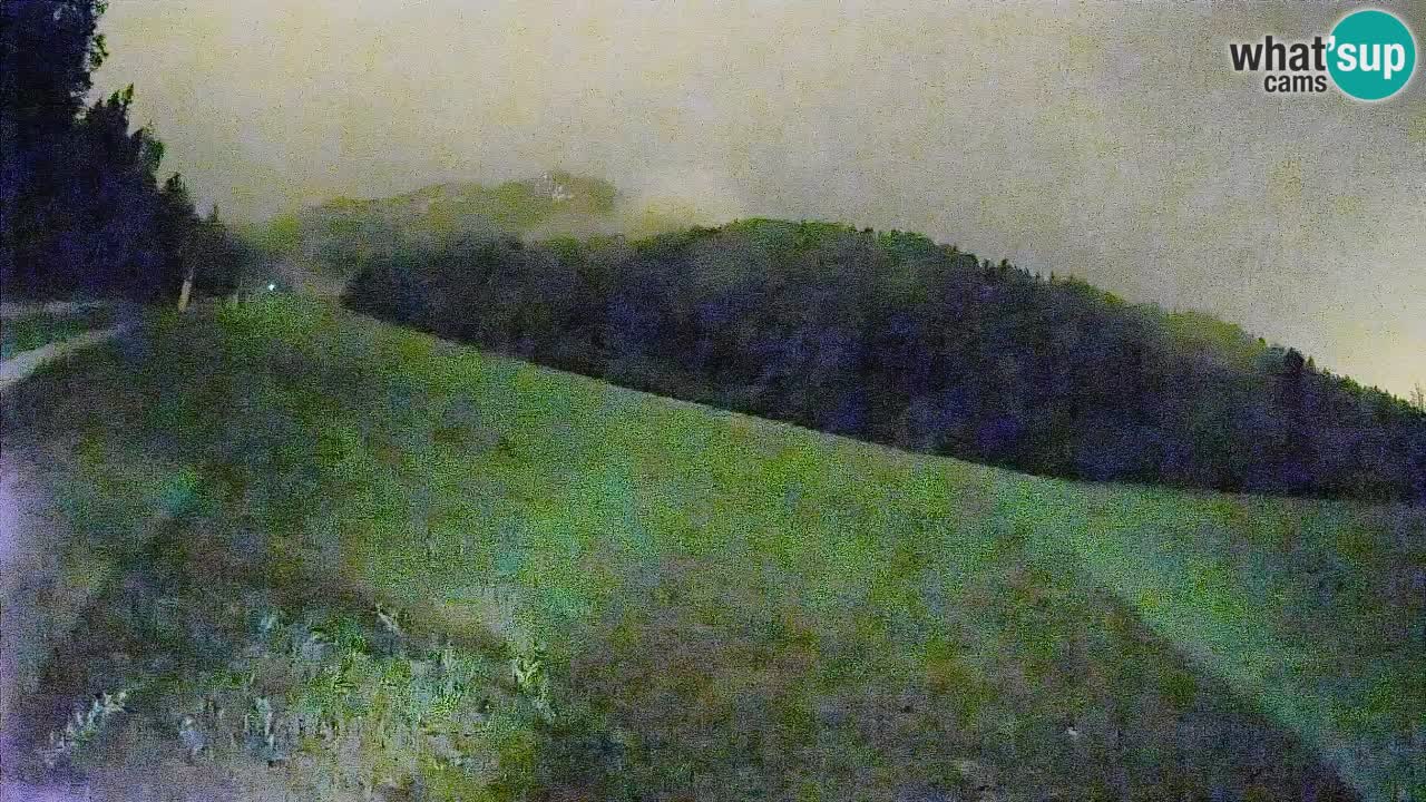 Comprensorio sciistico Kranjska Gora | Brsnina