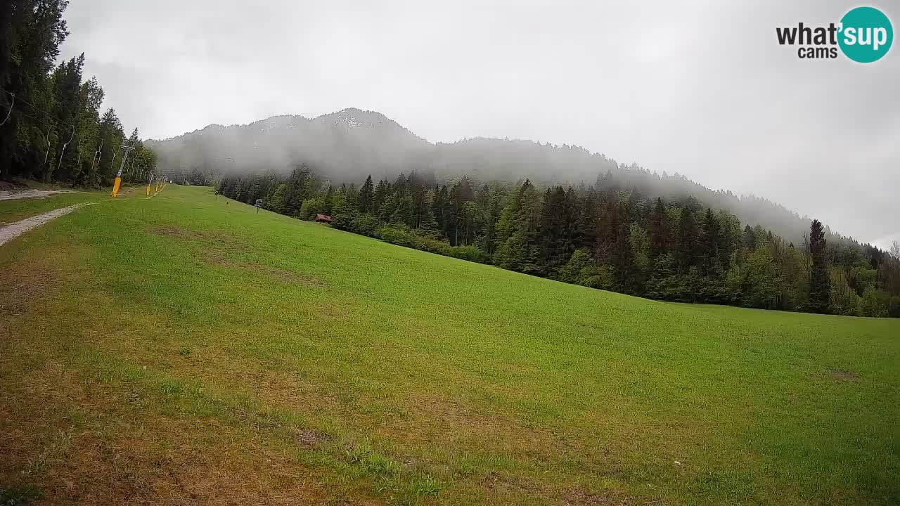 RTC Skigebiet Kranjska Gora | Brsnina