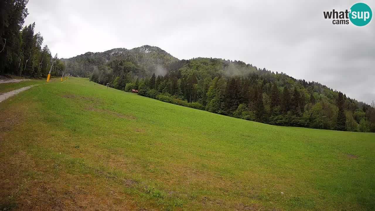 Comprensorio sciistico Kranjska Gora | Brsnina