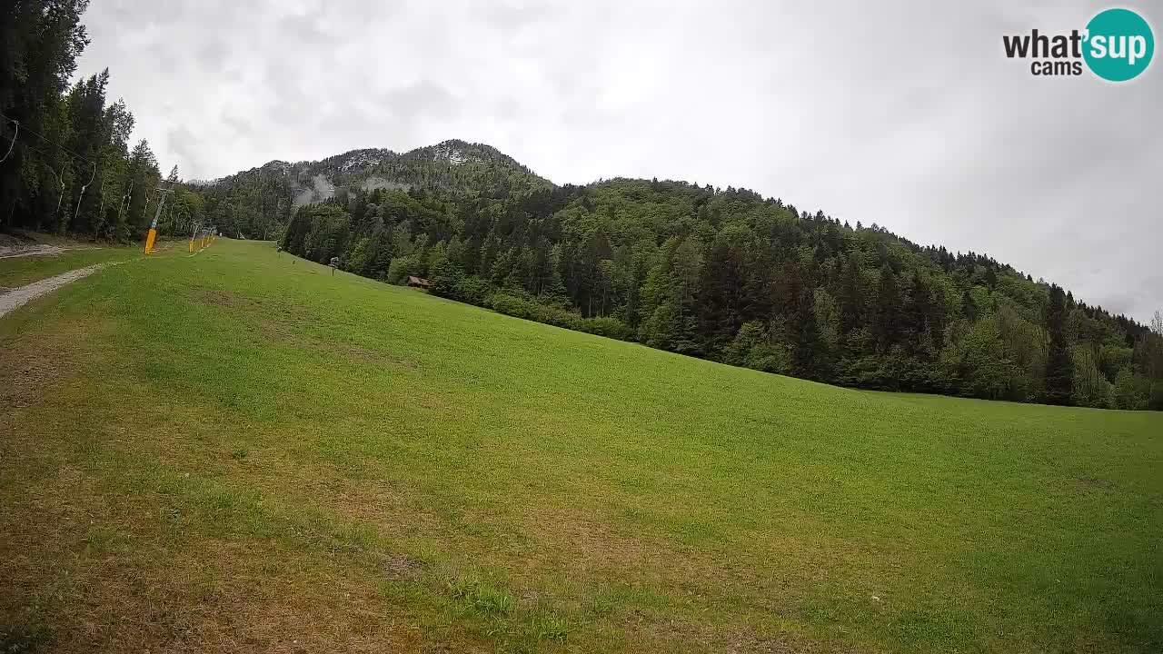 Comprensorio sciistico Kranjska Gora | Brsnina