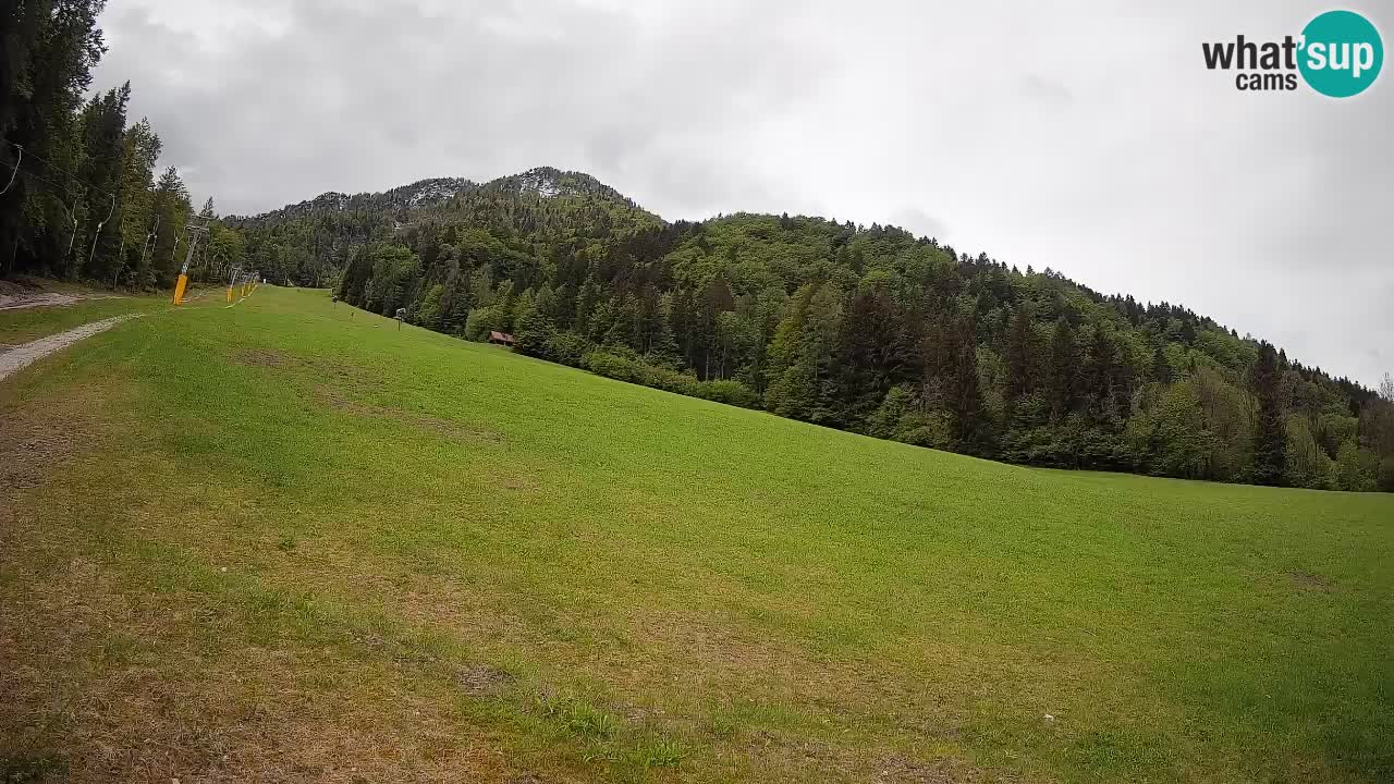 Kranjska Gora SKIJANJE | Brsnina