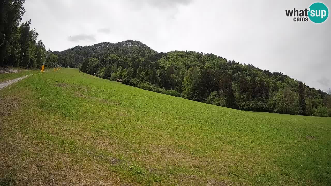 Comprensorio sciistico Kranjska Gora | Brsnina
