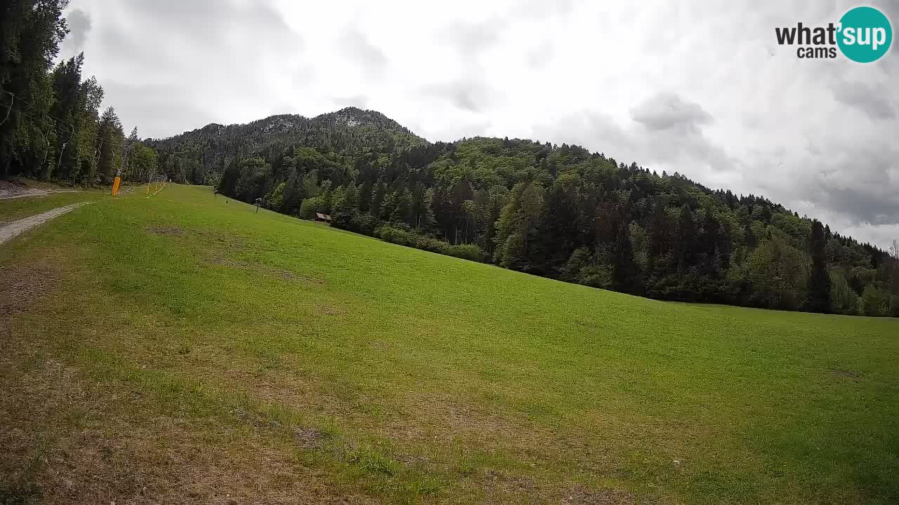 Esquí Kranjska Gora | Brsnina