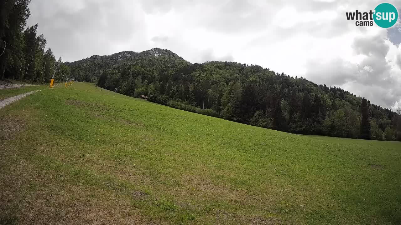 Esquí Kranjska Gora | Brsnina
