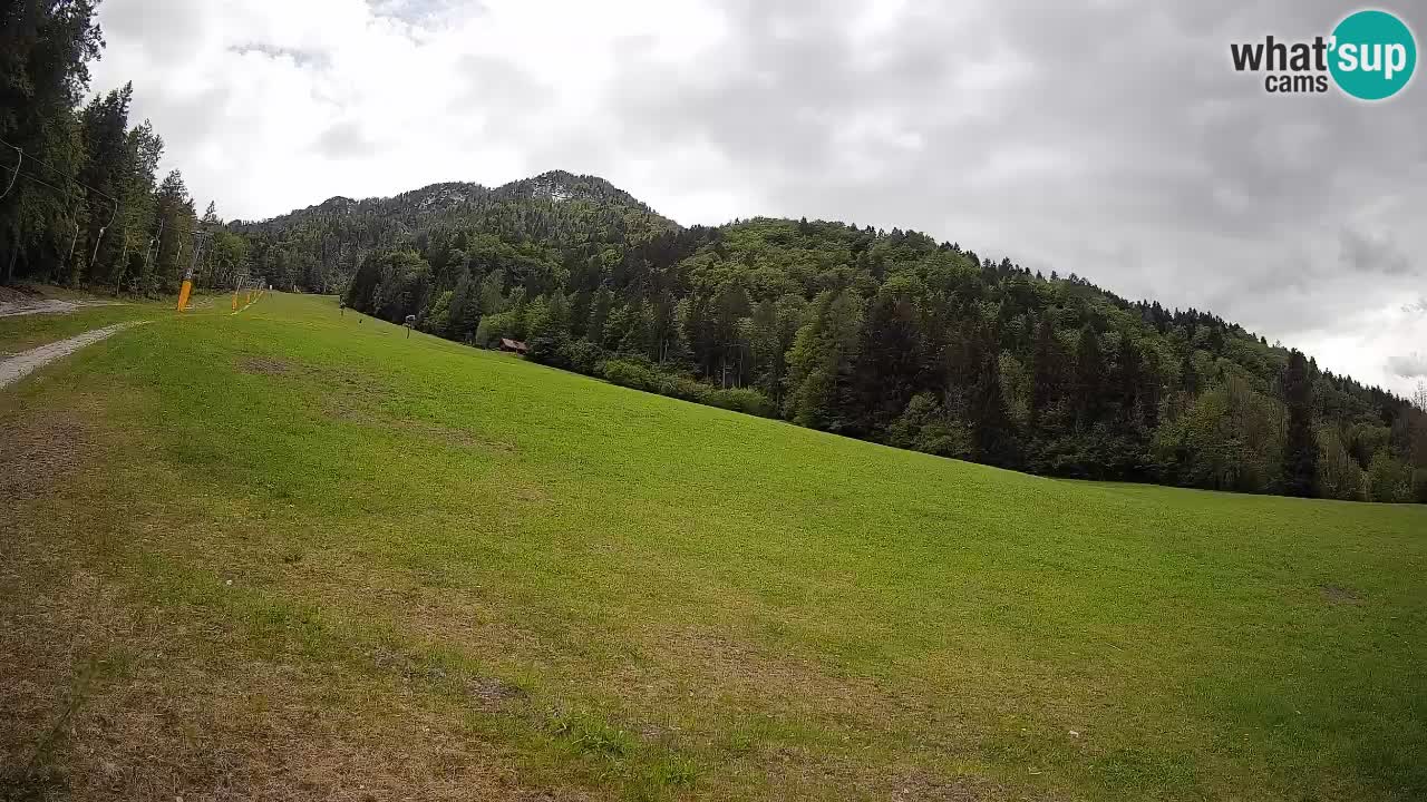 Ski Kranjska Gora | Brsnina