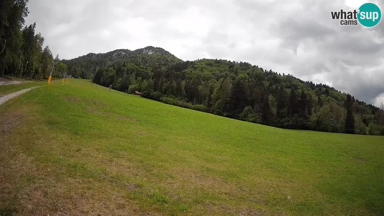 RTC Skigebiet Kranjska Gora | Brsnina