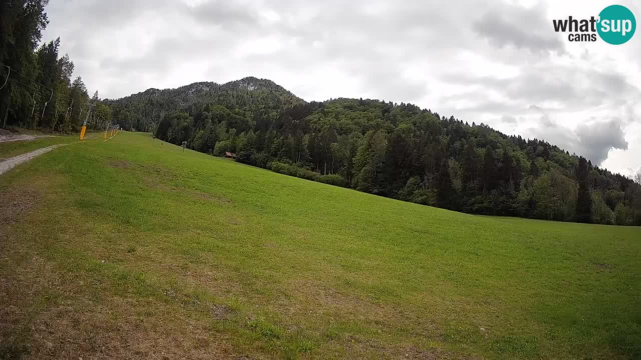 Esquí Kranjska Gora | Brsnina