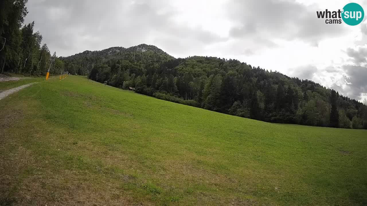 Ski Kranjska Gora | Brsnina