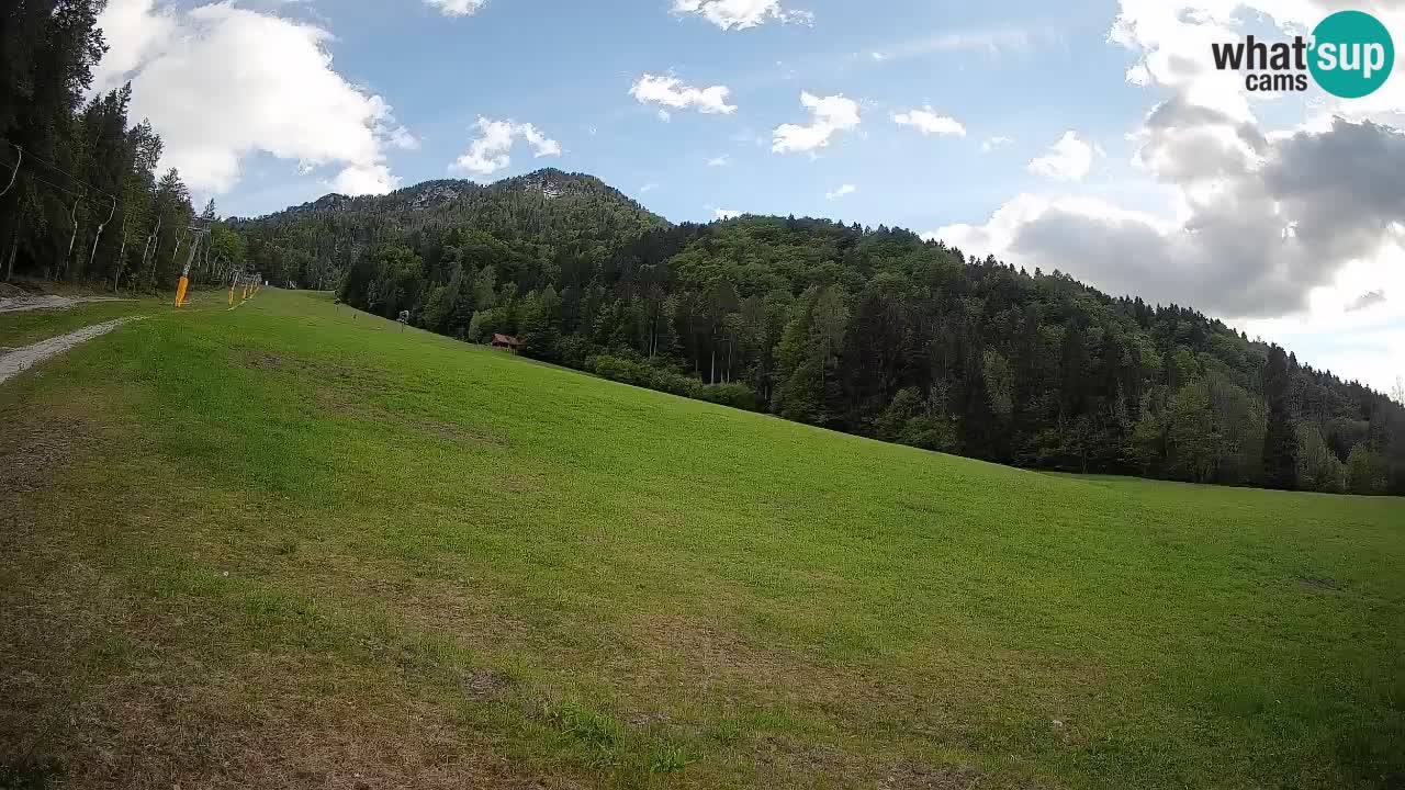 RTC Kranjska Gora | Brsnina