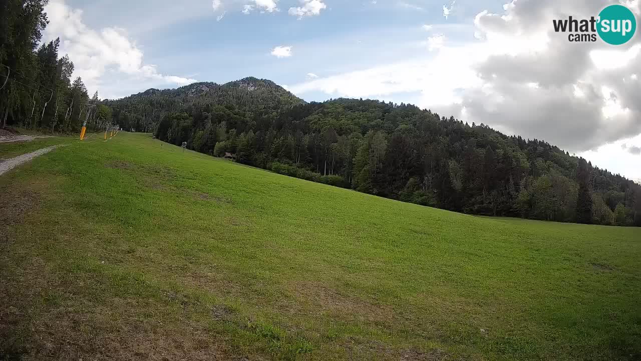 RTC Kranjska Gora | Brsnina