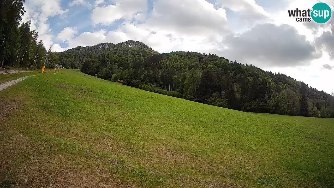 RTC Kranjska Gora | Brsnina