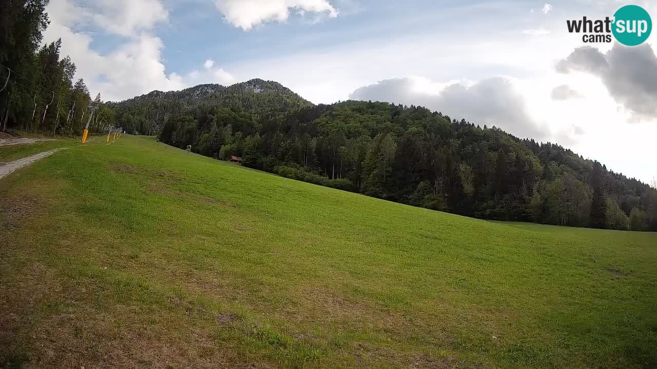 Esquí Kranjska Gora | Brsnina