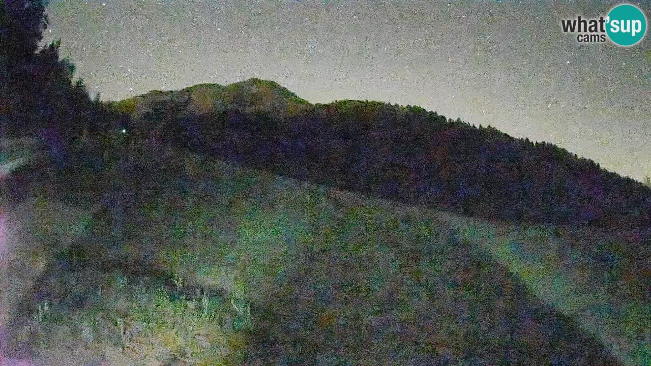 Esquí Kranjska Gora | Brsnina