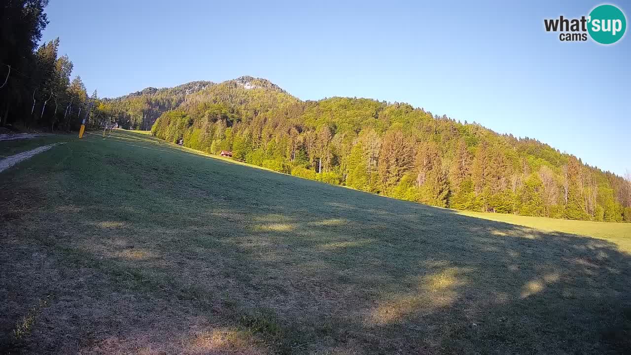 RTC Skigebiet Kranjska Gora | Brsnina