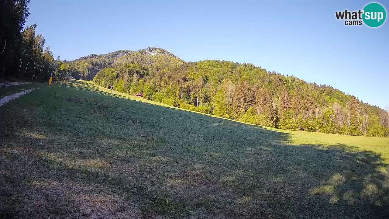 Ski Kranjska Gora | Brsnina