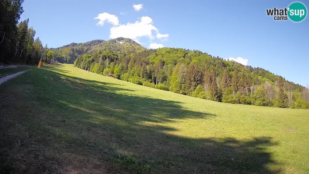 Kranjska Gora SKIJANJE | Brsnina