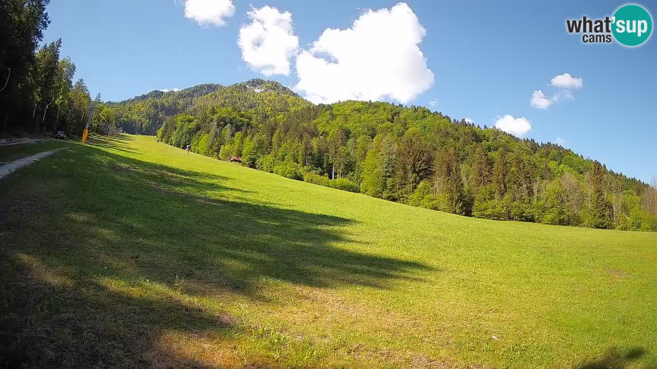 RTC Skigebiet Kranjska Gora | Brsnina