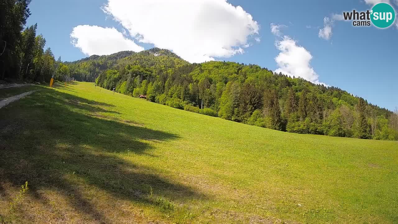 Kranjska Gora SKIJANJE | Brsnina