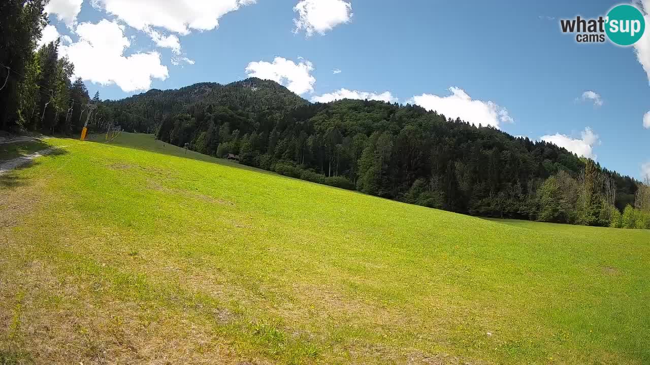 RTC Kranjska Gora | Brsnina