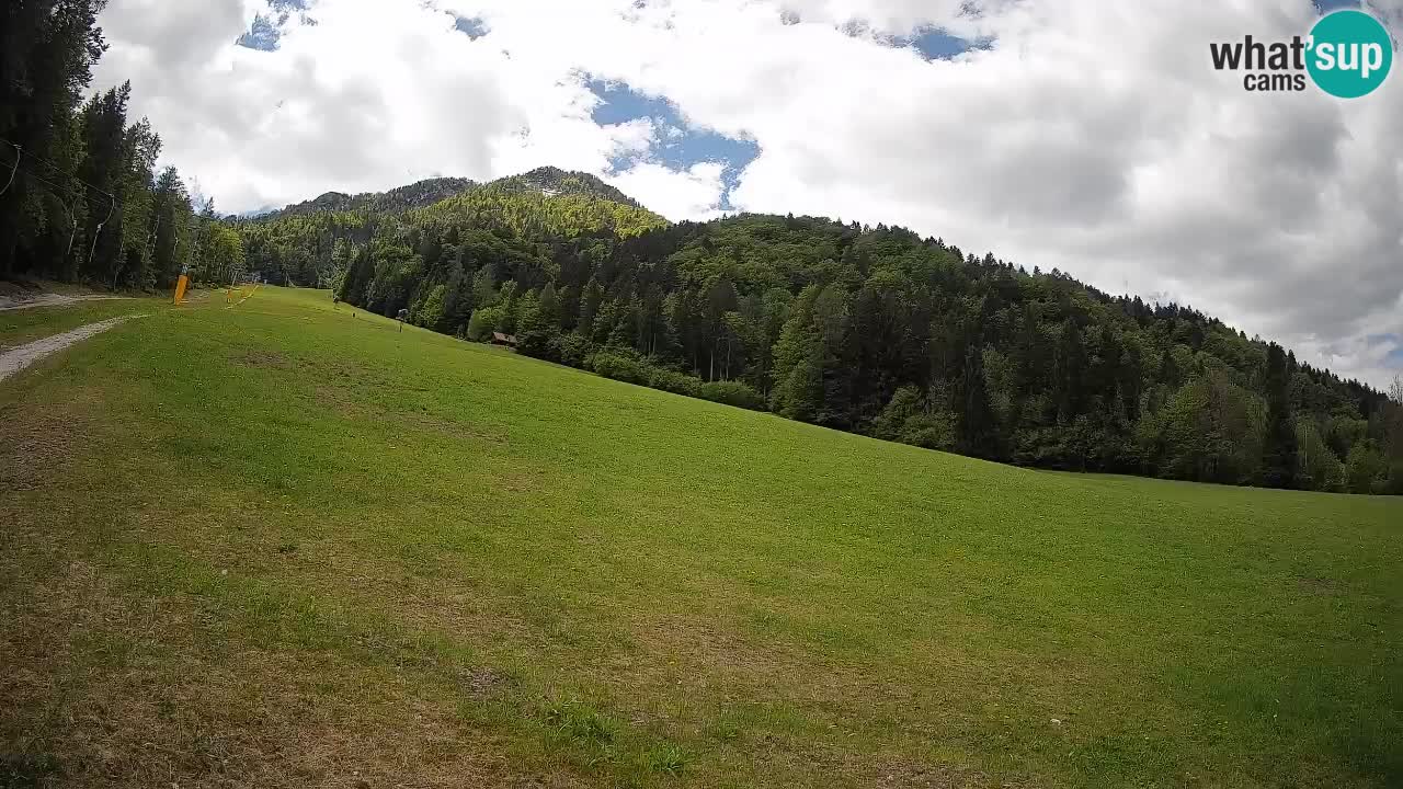 Kranjska Gora Station de ski | Brsnina