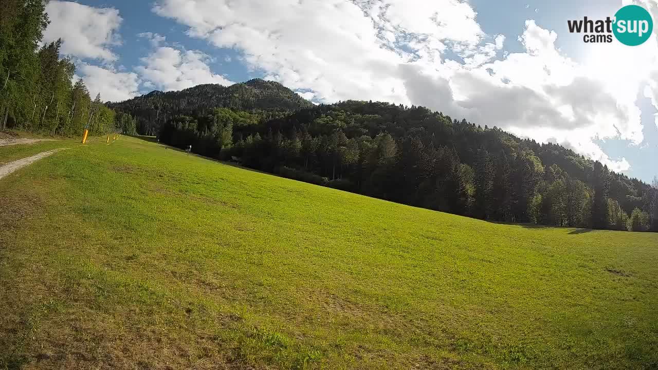 RTC Skigebiet Kranjska Gora | Brsnina