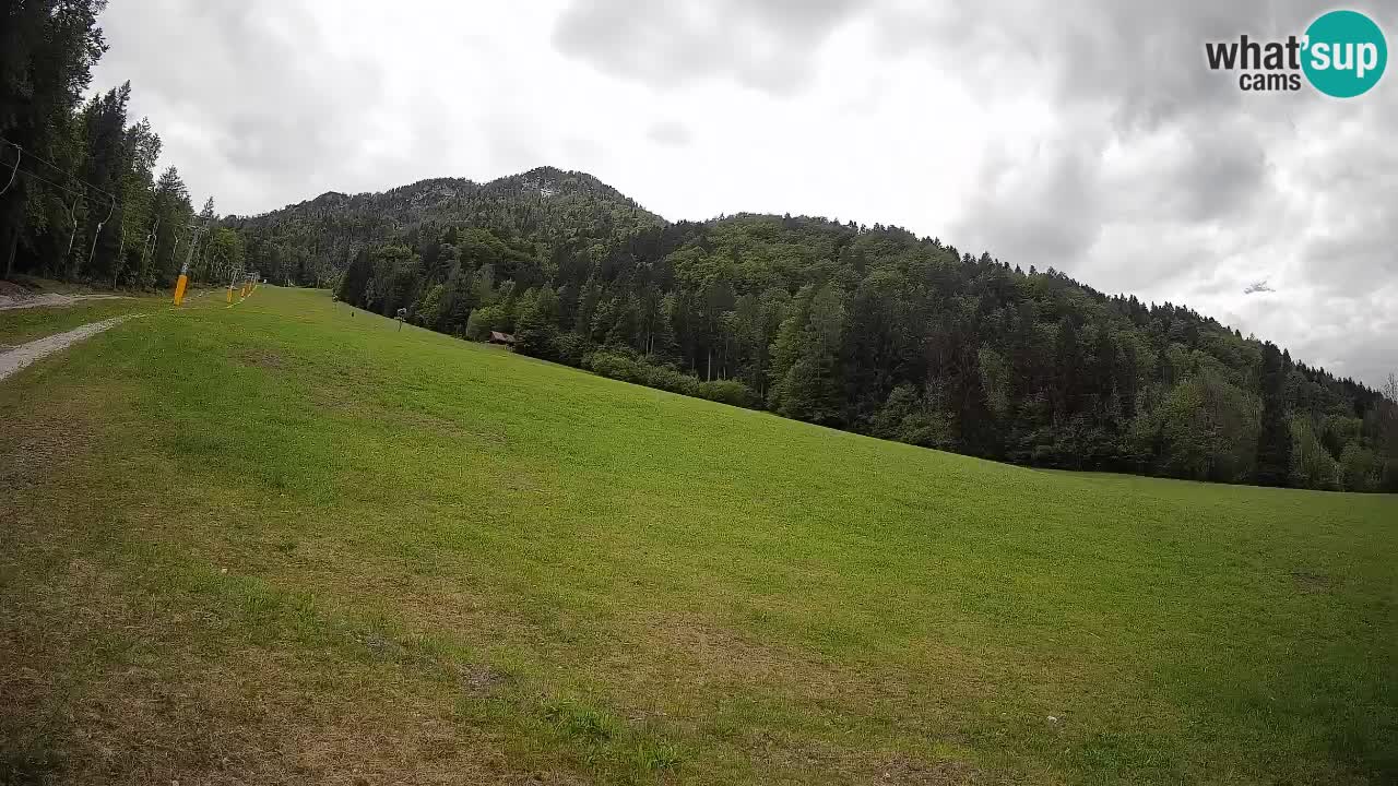 Ski Kranjska Gora | Brsnina