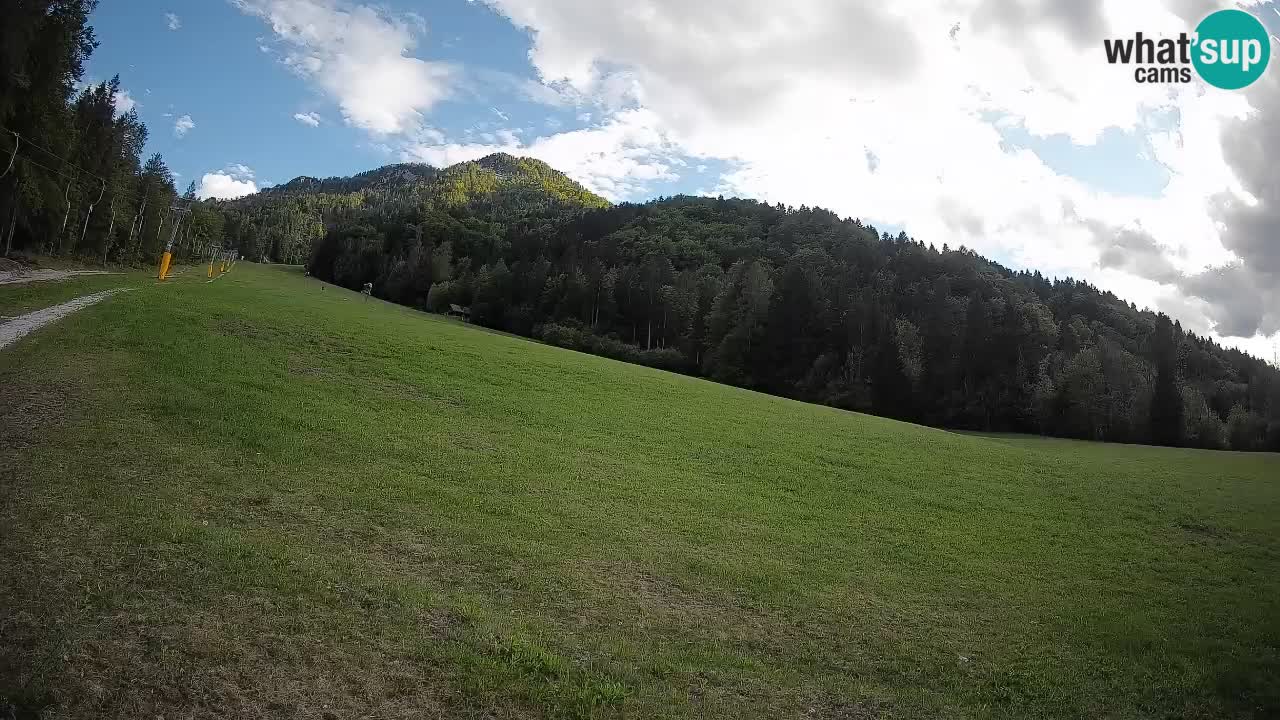 Kranjska Gora Station de ski | Brsnina
