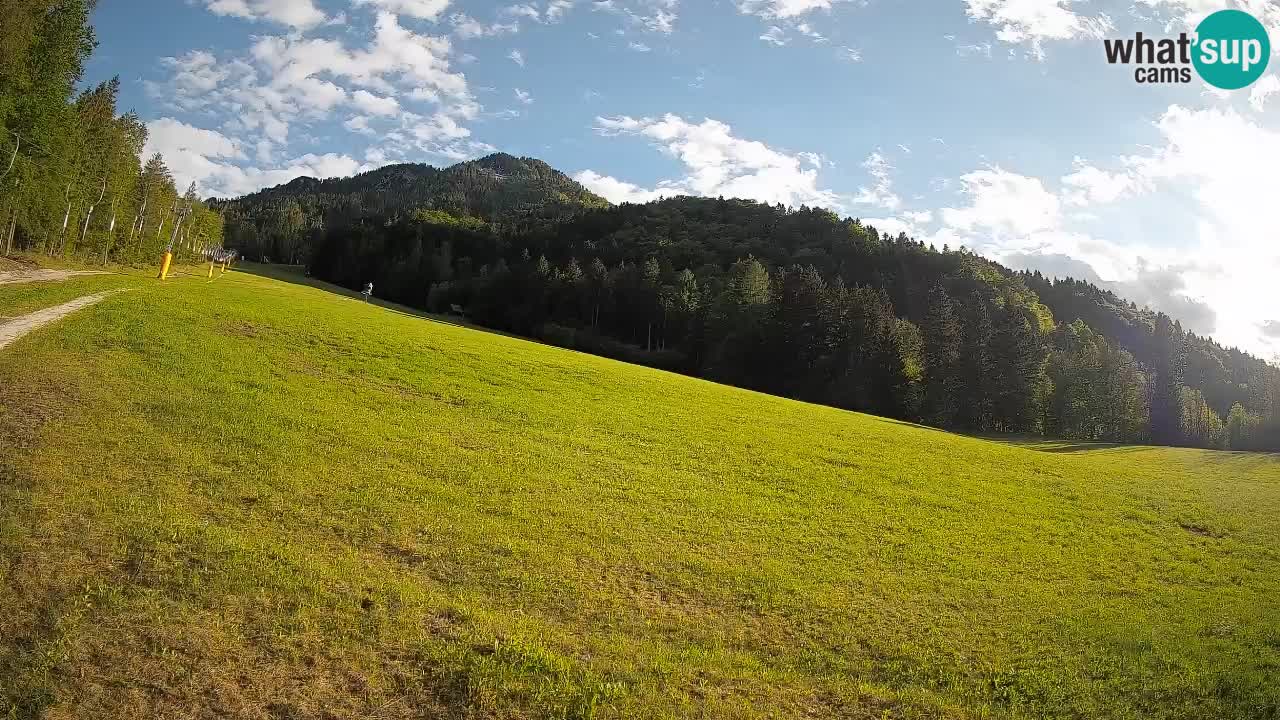 RTC Skigebiet Kranjska Gora | Brsnina