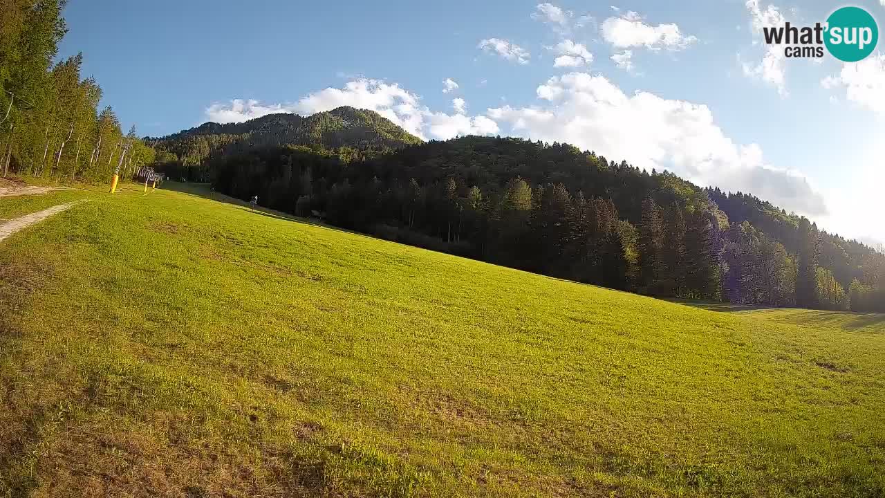 Kranjska Gora Station de ski | Brsnina