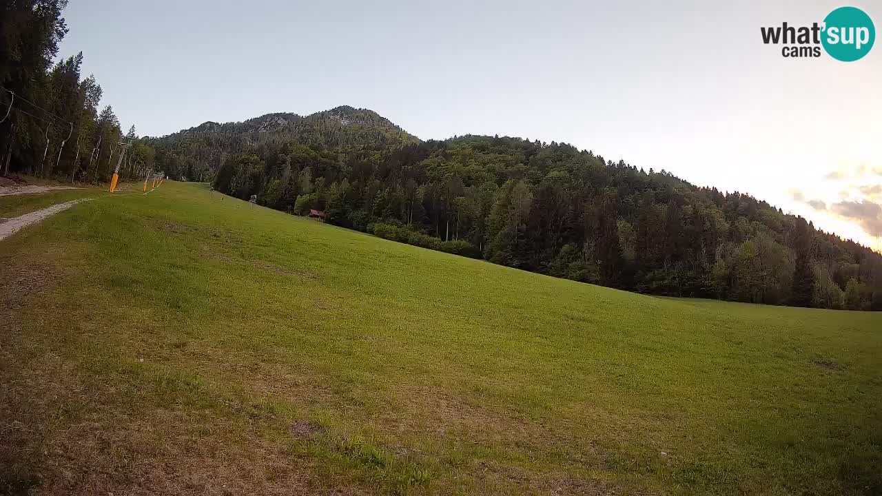 RTC Skigebiet Kranjska Gora | Brsnina